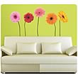 Gerber Daisies Peel and Stick Wall Appliques